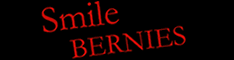 Smile Bernies Logo